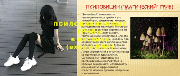стаф Заволжье