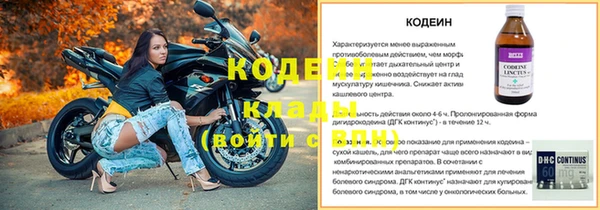 ГАЛЛЮЦИНОГЕННЫЕ ГРИБЫ Заводоуковск
