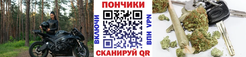 Бошки марихуана сатива  Купить закладки  Гуково 